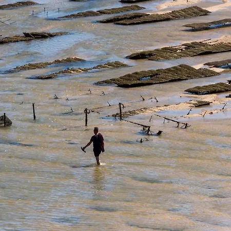 Horta Do Limao 8-10 Pessoas A 4 Km Praias Da Ria Formosa Fuseta Moncarapacho