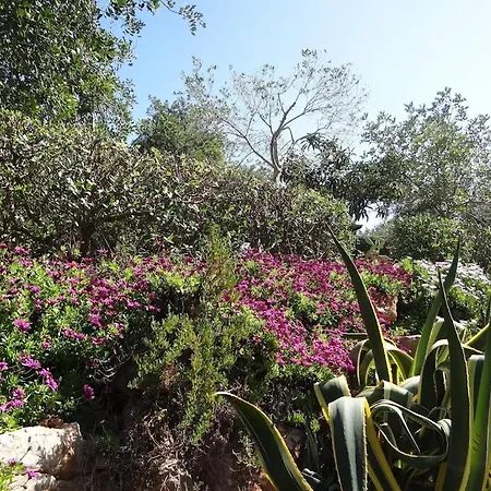 Horta Do Limao 8-10 Pessoas A 4 Km Praias Da Ria Formosa Fuseta Moncarapacho