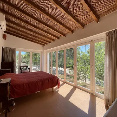 Vila Horta Do Limao 8-10 Pessoas A 4 Km Praias Da Ria Formosa Fuseta *