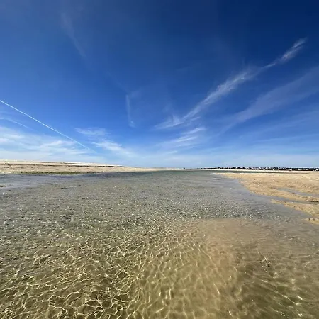 Villa Horta Do Limao 8-10 Pessoas A 4 Km Praias Da Ria Formosa Fuseta *
