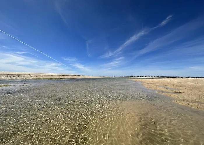 Villa Horta Do Limao 8-10 Pessoas A 4 Km Praias Da Ria Formosa Fuseta *